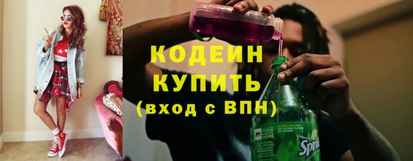 индика Нея