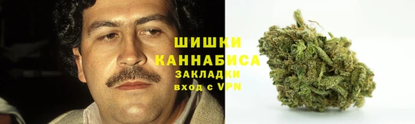 прущий лед Новозыбков