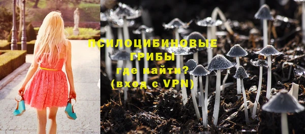 индика Нея