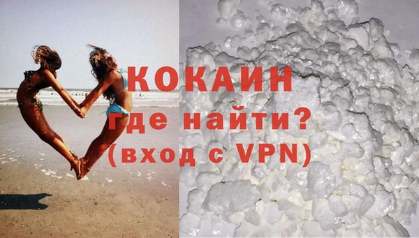 индика Нея