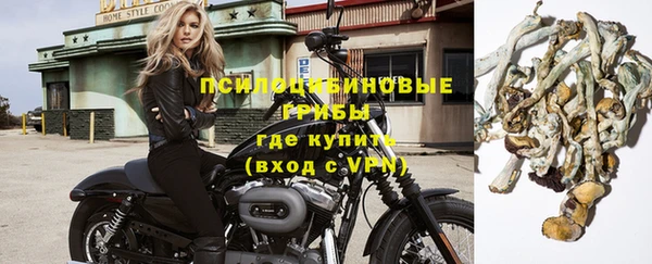 твердый Новодвинск