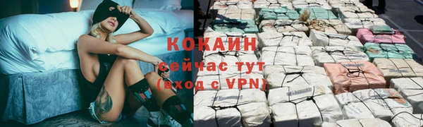 прущий лед Новозыбков
