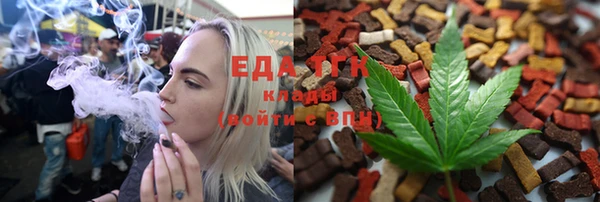 индика Нея
