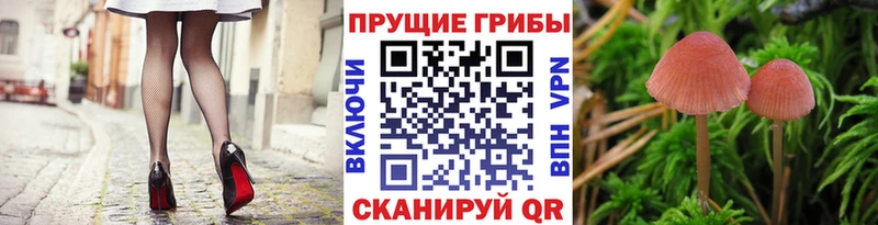 Купить закладки  Безенчук  Галлюциногенные грибы MAGIC MUSHROOMS 